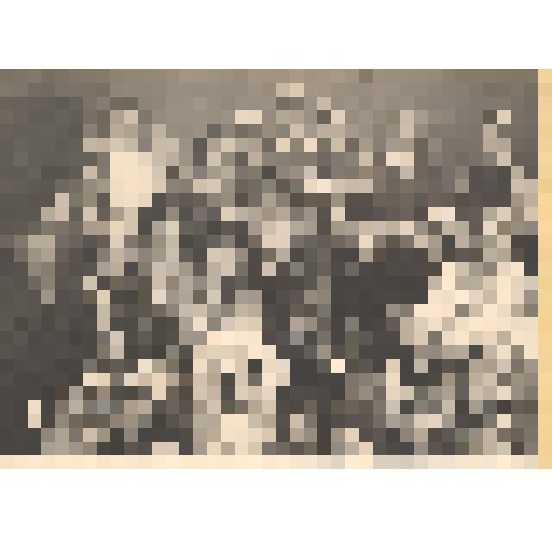 Фотография Ел.Ф.Гнесиной, Е.В.Гельцер, Е.М.Одаровской-Ванькович и О.Ф.Александровой-Гнесиной с участниками хореографического кружка. 1947 г. (предположительно)