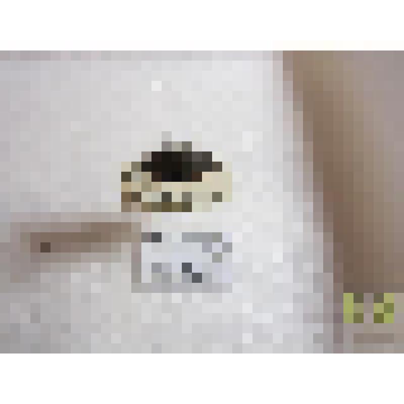 Ильник крапчатый  (Rhantus notatus F.)