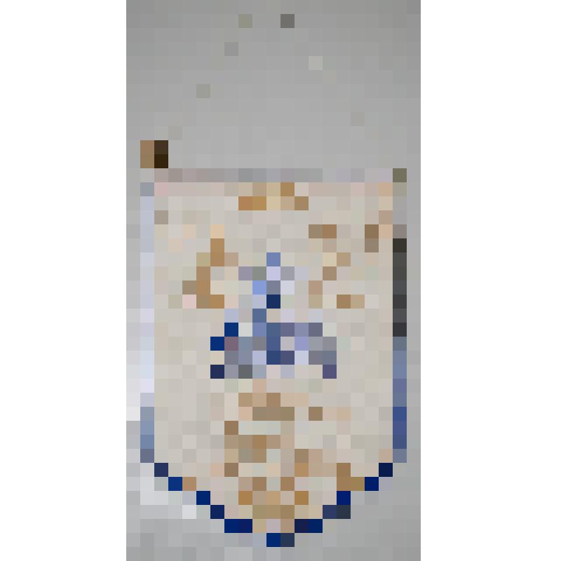 Вымпел Монголии