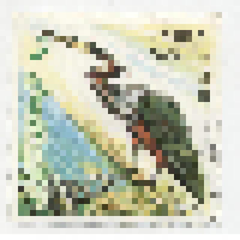 "Agamia agami. Brasiliana 89". Куба, 1989 г. Гашеная. Марка почтовая