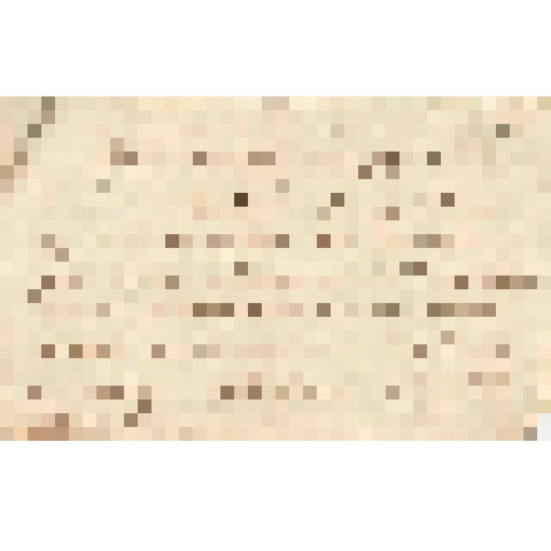 Записка №11 от А.Суслова А.А.Гусевой, 1872 г