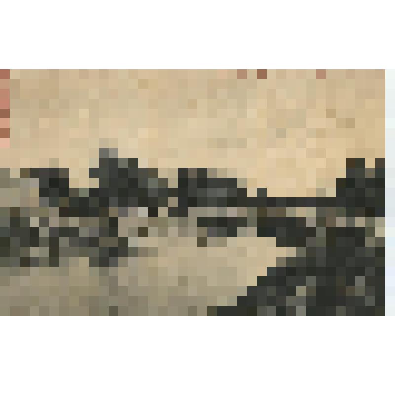 Открытка. Ч.б. Вышний Волочек. Шендор