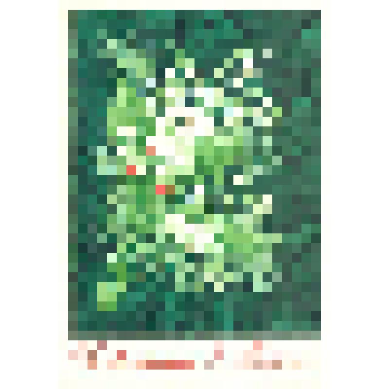 Открытка. С праздником 8 марта!