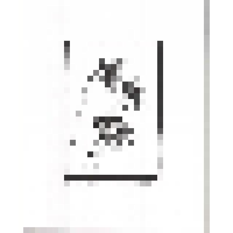 Старые цветы