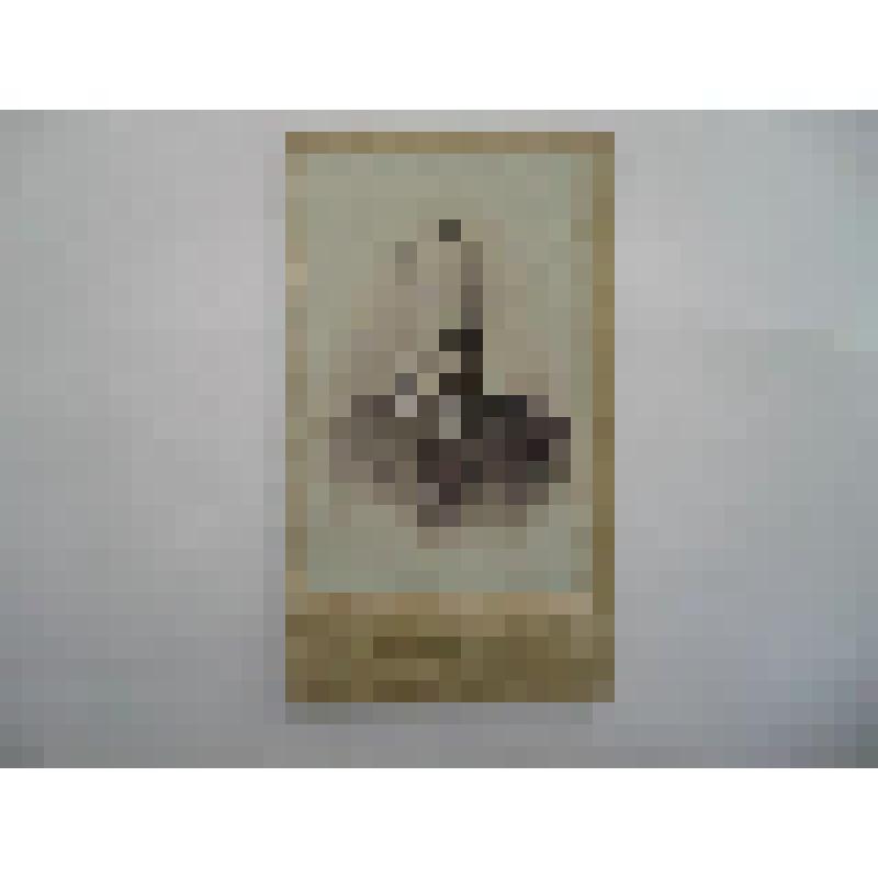 фотография. Мужчина