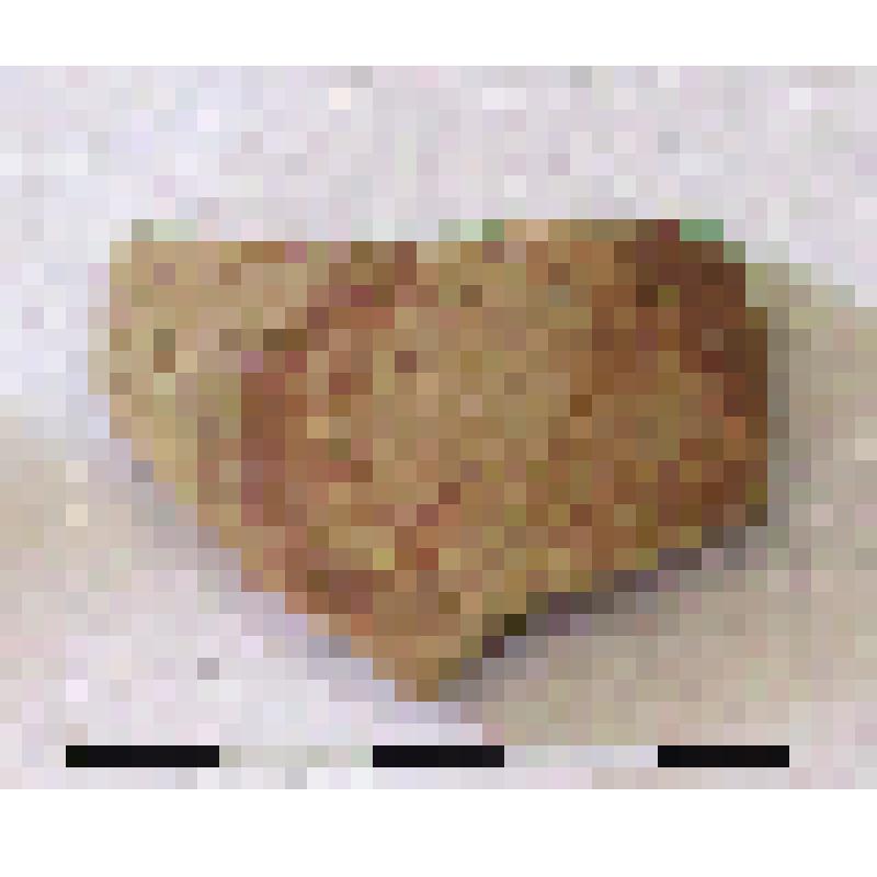 Фрагмент плеча амфоры типа D с дипинти