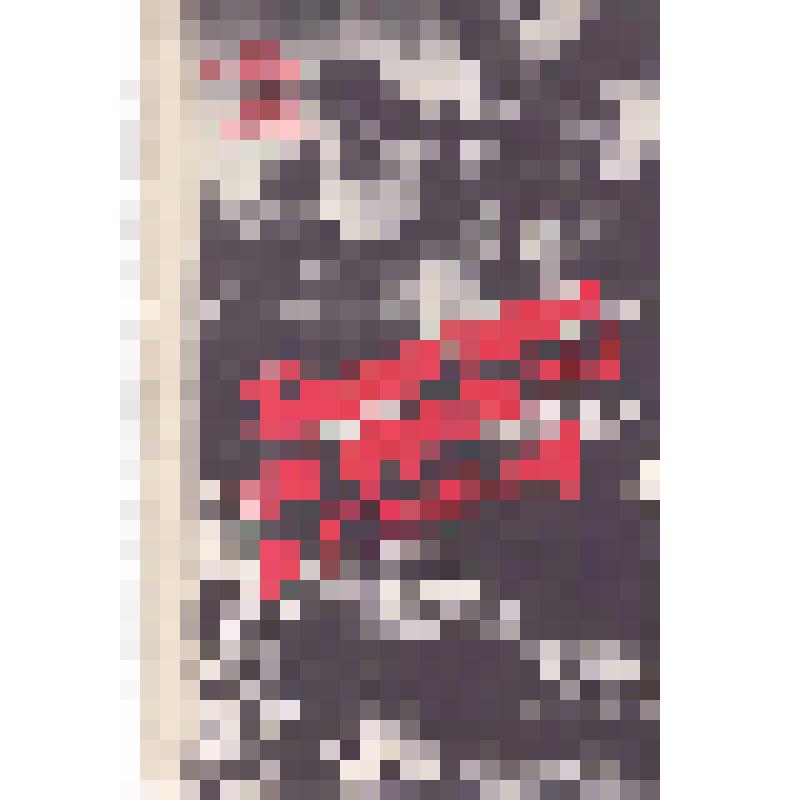 Книга. "Братчане на фронте и в тылу". - Иркутск:  Иркутская областная типография № 1, 1995 г
