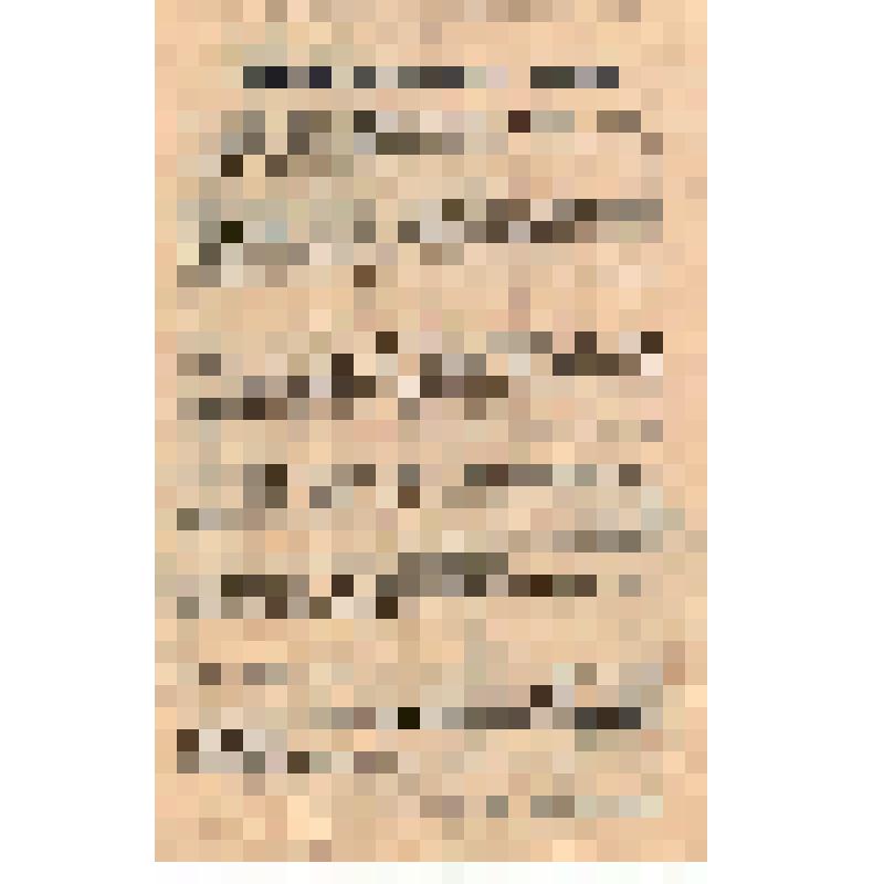 Резолюции Петроградского гарнизона