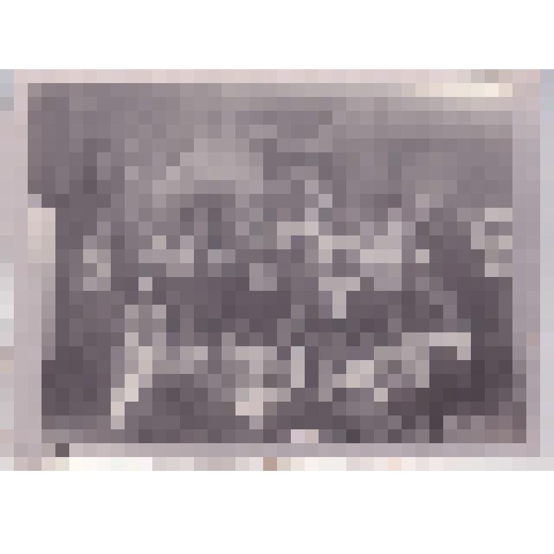 Е. Ярославский в группе молодежи