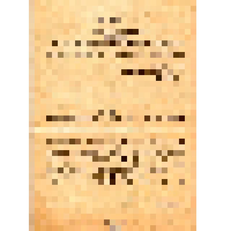/Приказы об образовании интернациональных отрядов Красной Армии/. (на нем. яз?)