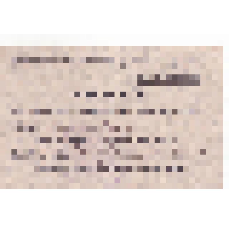 Гостевой билет М.М. Костеловской на заседание 8-ого Всероссийского съезда Советов