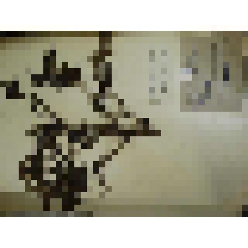 Гербарий. Малина сахалинская, гербария М.И.Губельмана