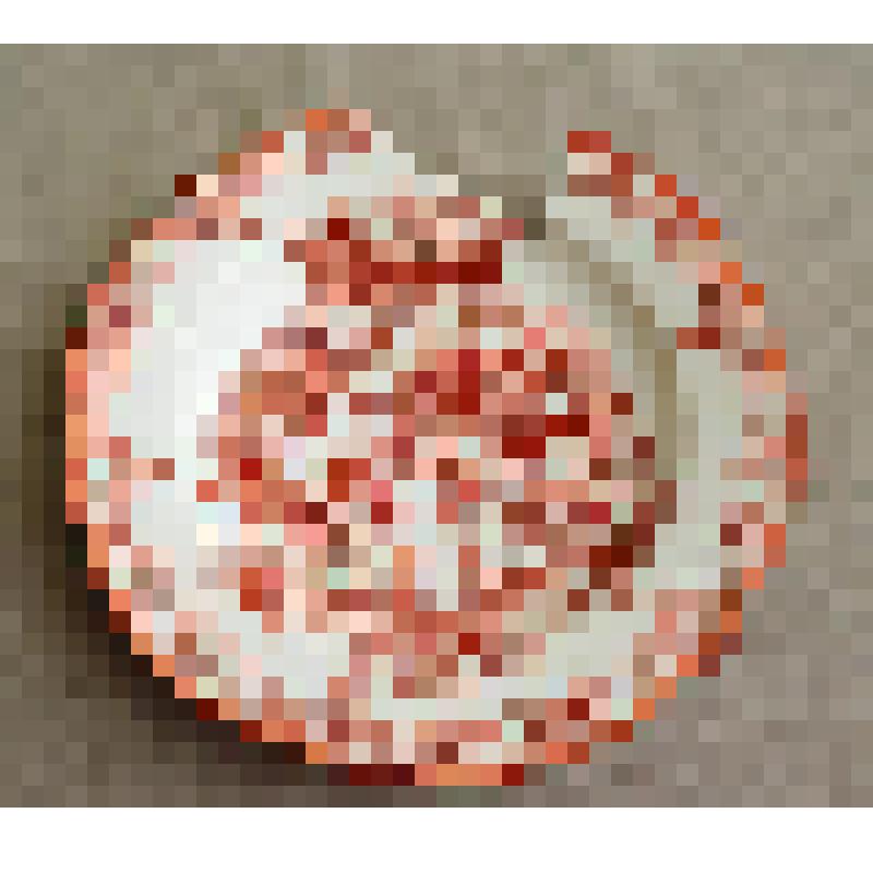 Тарелка из столового сервиза с фамильными гербами Бутурлиных и Бобринских, изготовленного к свадьбе Людмилы Павловны Бобринской и Дмитрия Сергеевича Бутурлина, брата Александра Сергеевича Бутурлина (1872-1938гг.), орнитолога, охотоведа, исследователя Севе