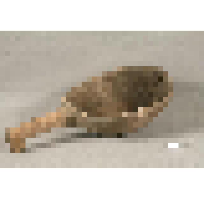 Ковш-черпак