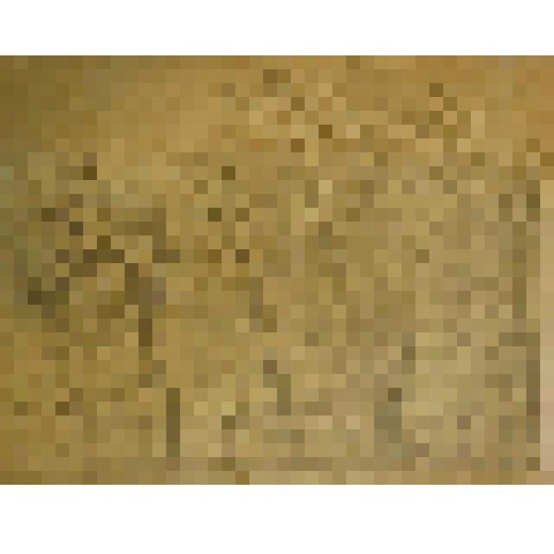 Зарисовка. Городской пейзаж. Парк. "Зарисовки с натуры" (Натурные штудии, поиски для станковых работ или решения спектаклей.)