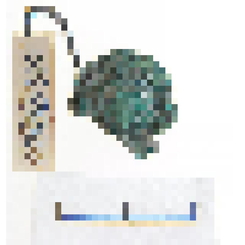 Бляшка плоская