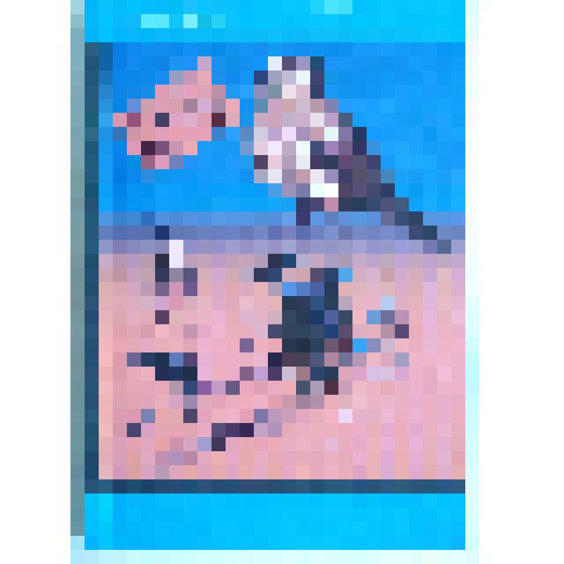 Книга "Отсроченное разочарование. Стихи."