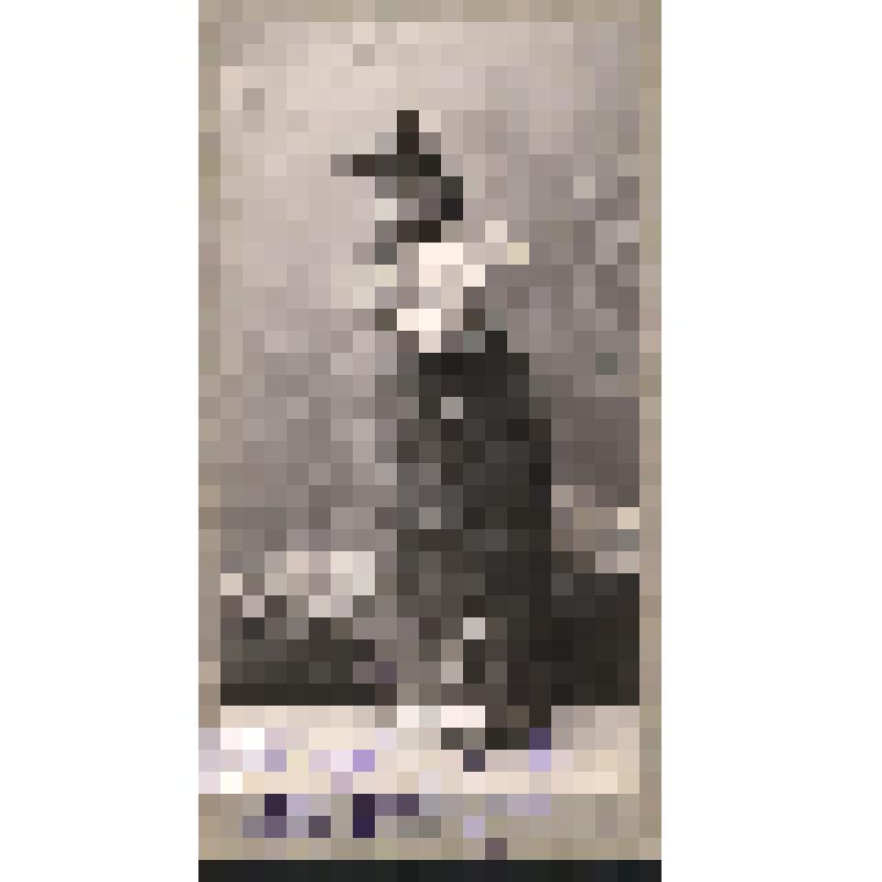 Фотография. Ван-дер-Вейде Н.В. в партии Наташи. "Русалка". Даргомыжский А.; 1900, реж. Василевский Р.В., худ. Головин А.Я., Коровин К.А