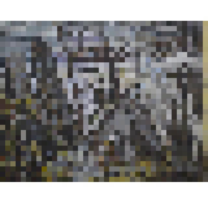 «Мастерская художника. Тепсей - Малиново». Картина