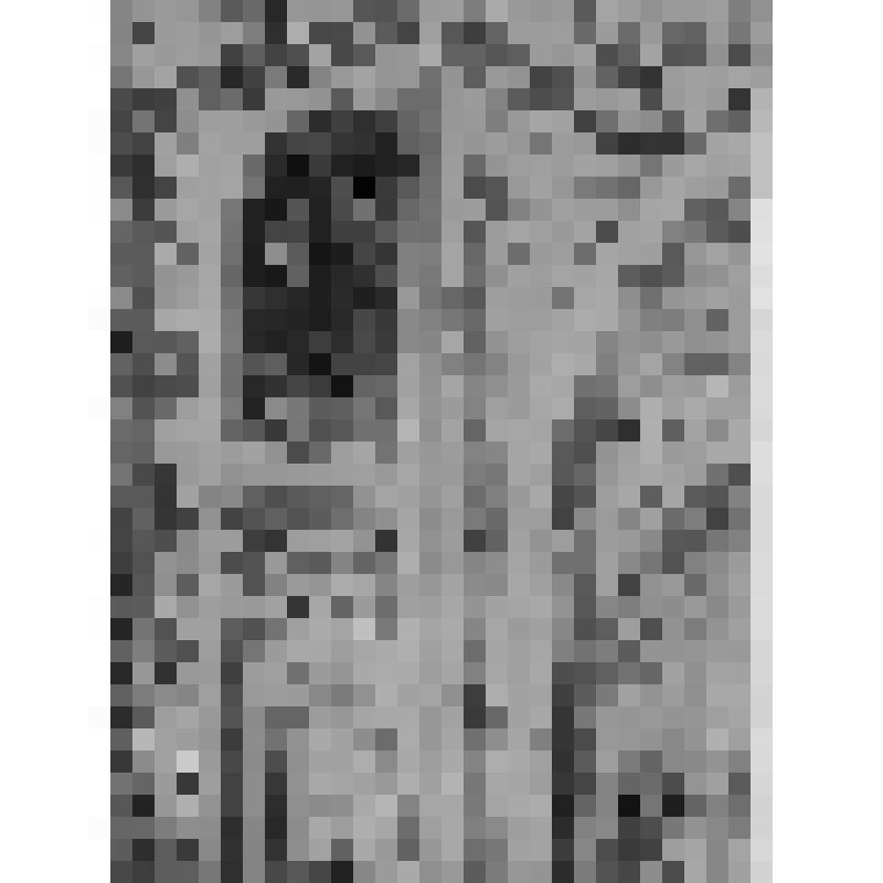 Большой дворец. Диванная. Южная стена. Фрагмент. Детали резьбы алькова