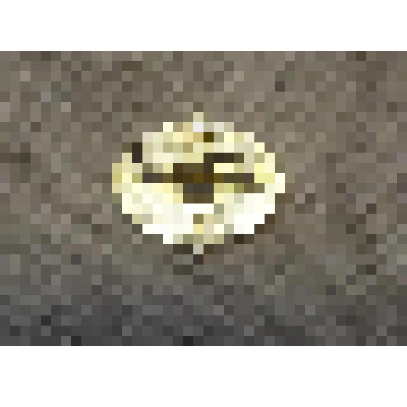 Значок "Международный женский день"