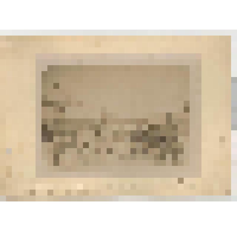 Фотография. Обские и тазовские ненцы, сургутские ханты. 1891-1895 гг. Фот. А.А. Дунина-Горкавича. Самоеды с Таза Енисейского, рода Еди-Маринк