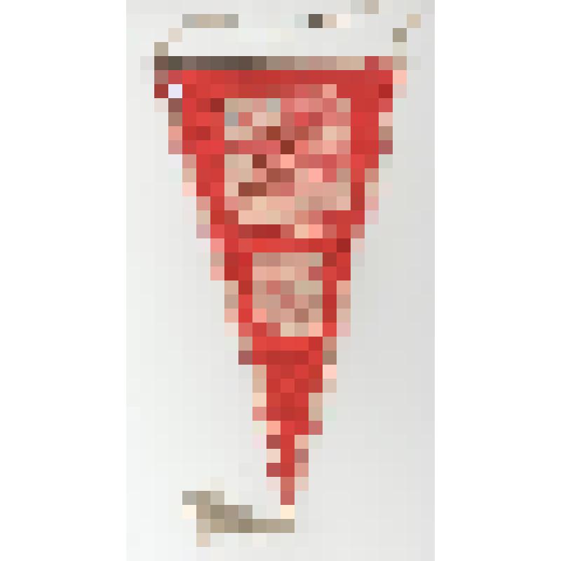 Вымпел. Участникам лыжного перехода Салехард-Москва от лыжников Печорской ДЮСШ. 27.01.1976 г