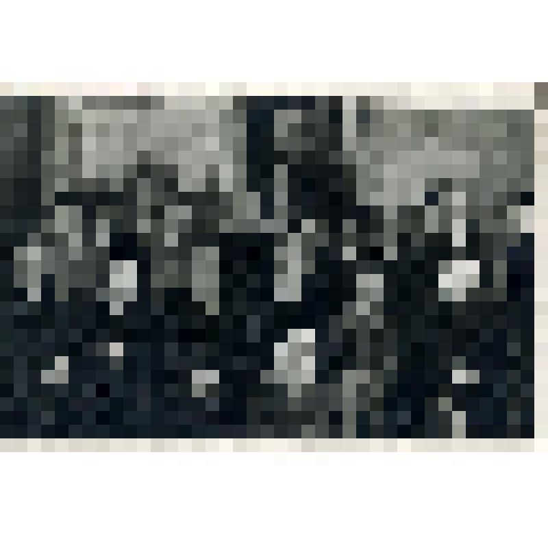 Фотография. Участники областного совещания музейных работников