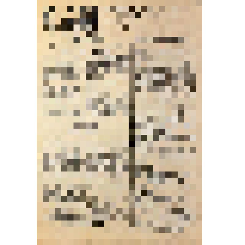 Ежедневная городская газета "Красное Знамя" № 137 (1923). Пятница, 14 июля 1944 г