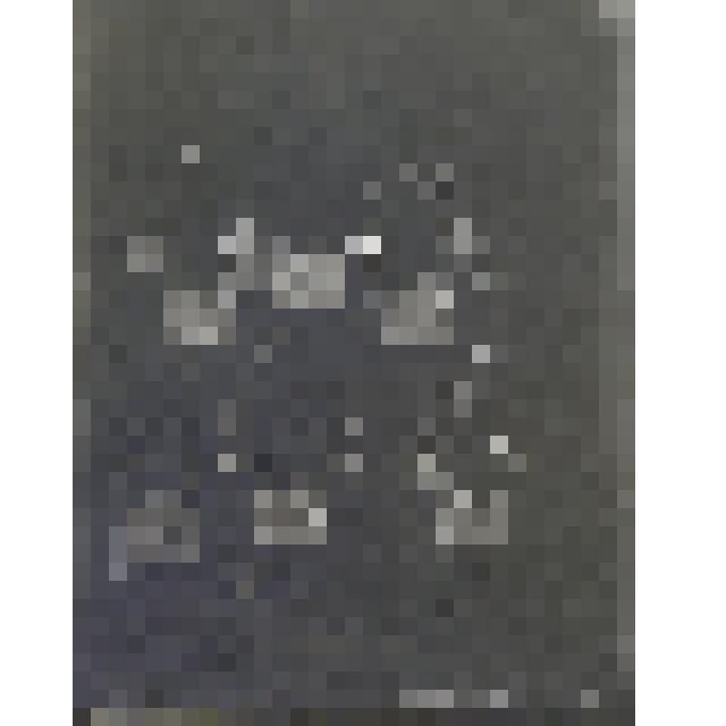 Негатив на стеклянном носителе. Украшения шейные (6 пр.). Индийцы, сикхи