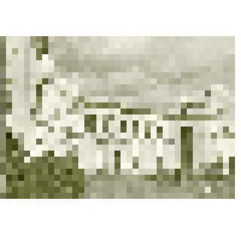 Павильон Литовской ССР. ВСХВ. 1952-1954. Арх. А.Я. Кумпис, Ю.А. Лукошайтис. г. Москва. Всесоюзная сельскохозяйственная выставка. Павильон Литовской ССР. Общий вид. ВСХВ. ИЗОГИЗ. 15-я Тип. "Искра революции", Москва