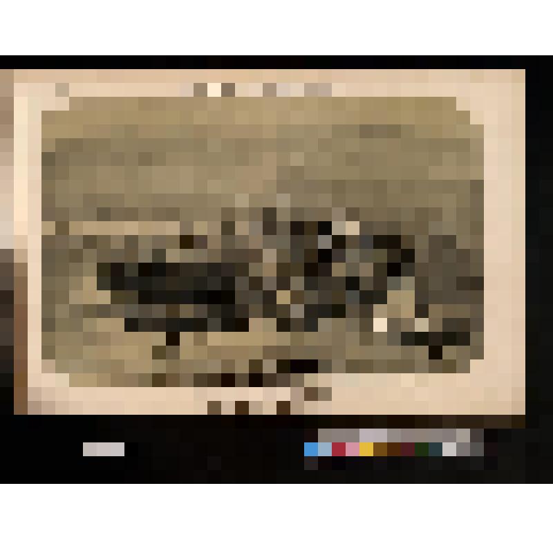 Русский солдат, хворостиной погоняющий волов, запряженных в телегу, в которой сидят раненые пленные турки