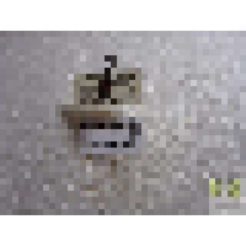 Странгалия чернозадая (Strangalia melanura L.)