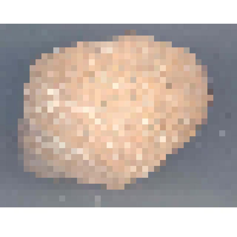 Сосуд (фрагмент)