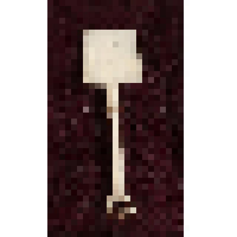 Коробка с костяными бирюльками: лопата