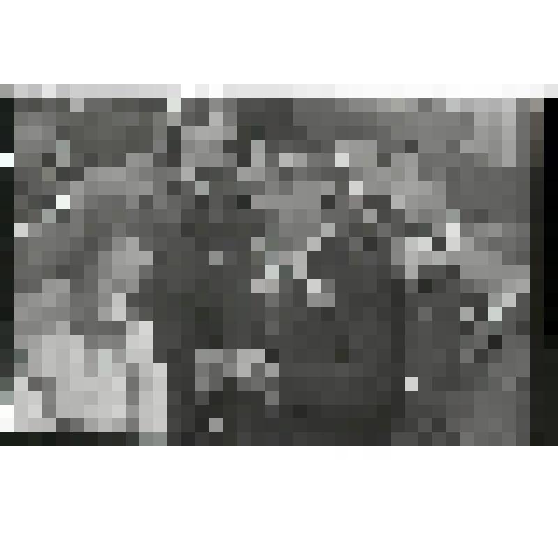 Негатив. Ветеран Уральского добровольческого танкового корпуса В.Г.Сидоров с пионерами