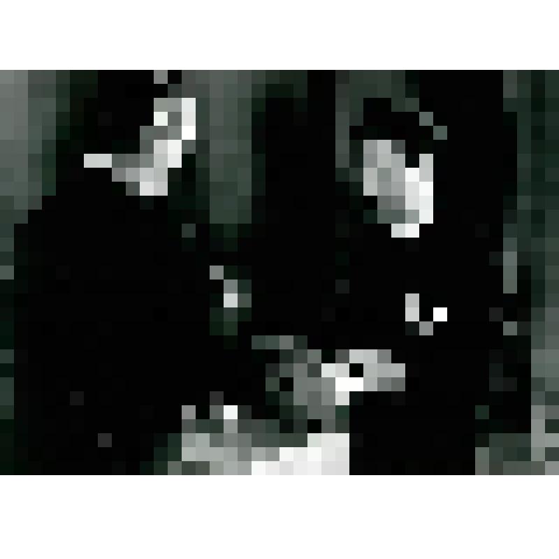 Фотография черно-белая. Награждается Буровкин Станислав Александрович золотой медалью Героя Социалистического труда и орденом Ленина