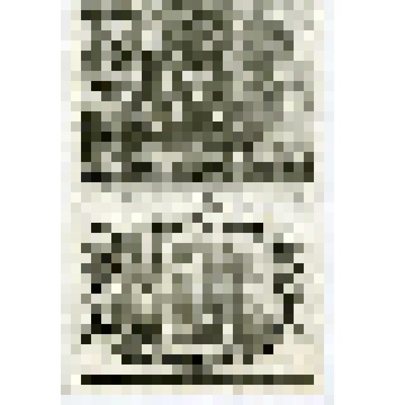 Офорт. Лист 101. Работы по восстановлению храма по возвращении из вавилонского плена (Ездр. 3, 6)