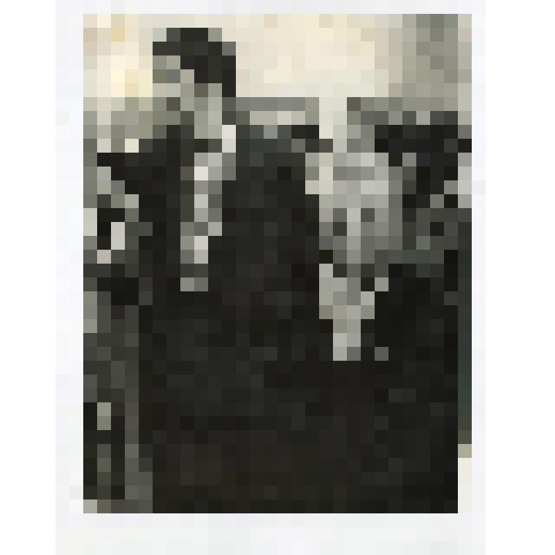 Фотография Александров И.Ф. и  Каралкин В.А. на художественной   выставке