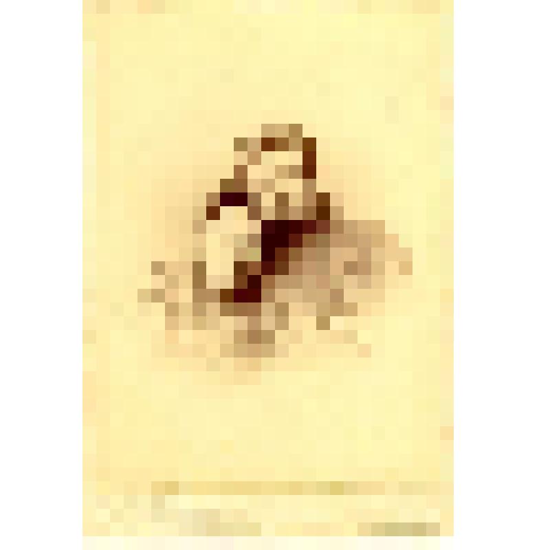 Фотография. Труховской [Евгения] Васильевна с подругой