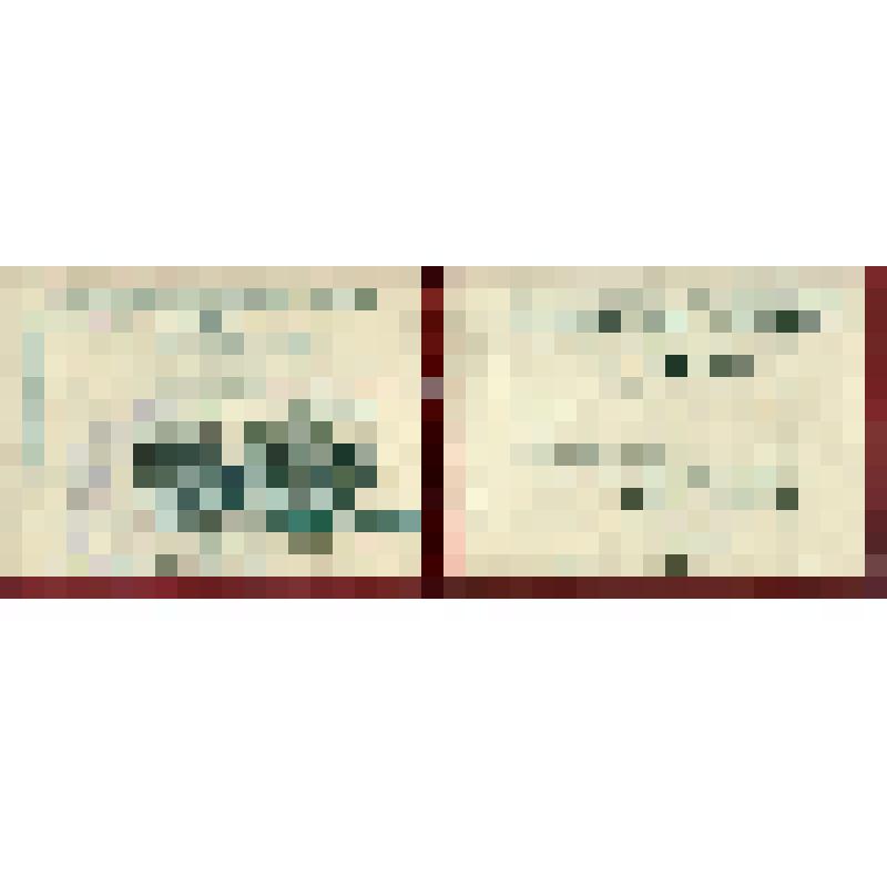 Билет члена Таджикского обкома КП(б) Узб. Малахова