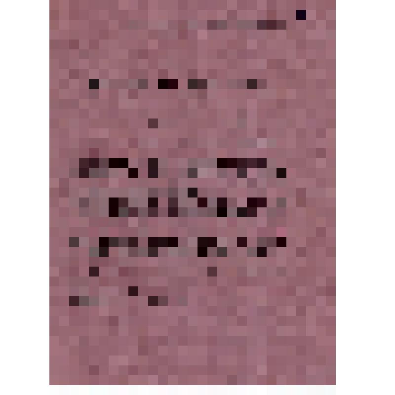 Пригласительный билет на 3-ю иллюстративную лекцию "Современная русская музыка"