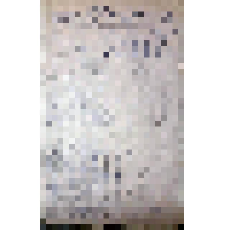 Список по социальному составу зернового товарищества "Бедняцкое" Красноорского сельсовета