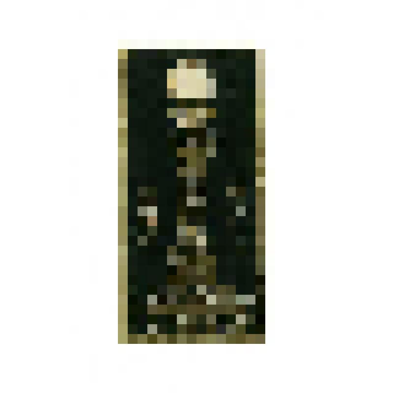 Значок. ВДНХ, на булавке. СССР