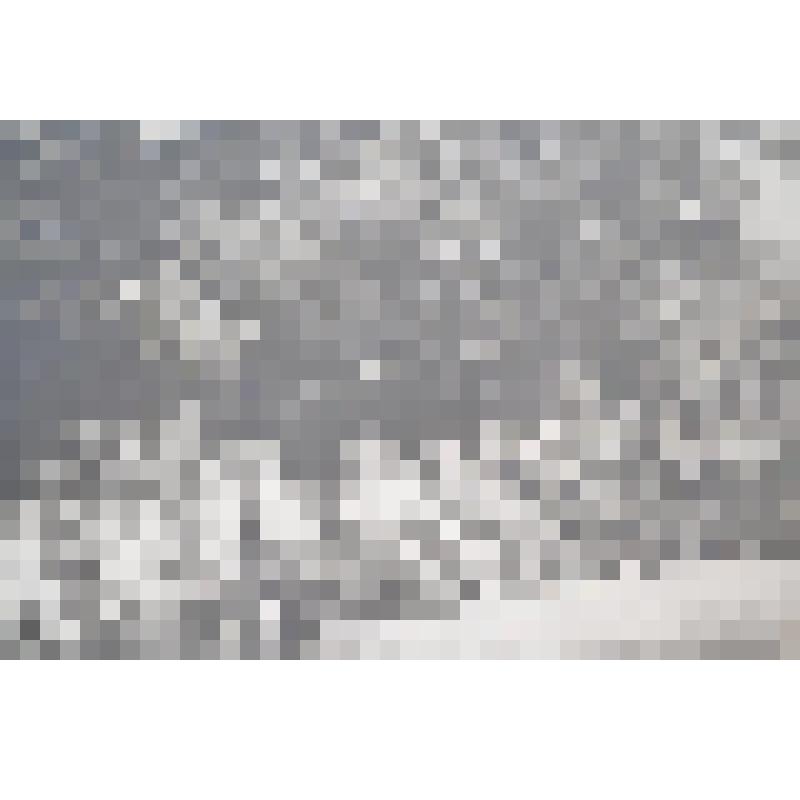 Фотография. «Ждем очередь в музей». Из набора фотографий «По следам Ленина»