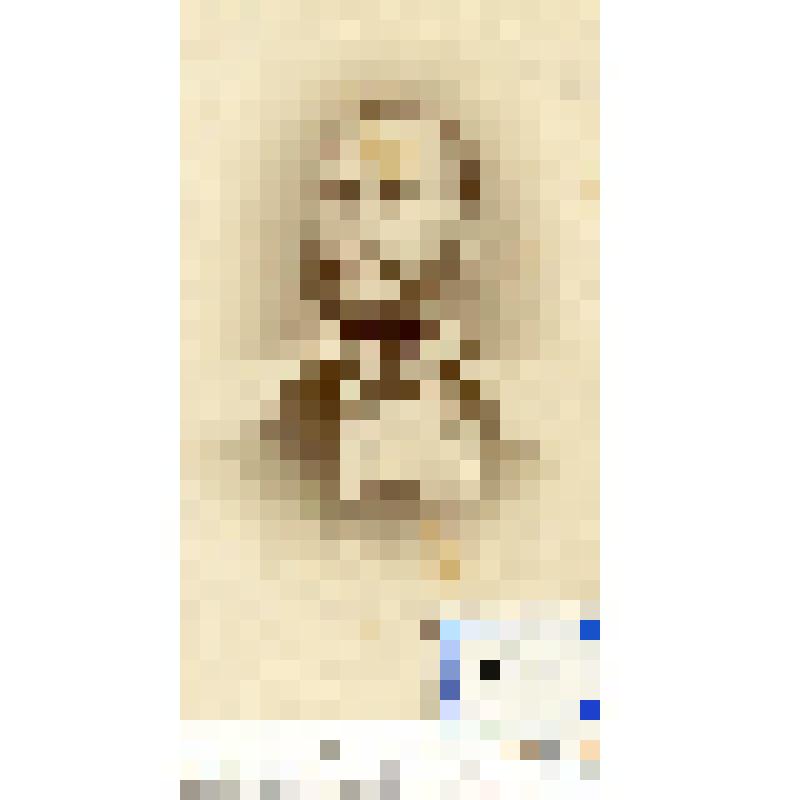 Фотография черно-белая. Евплов Максим Амвросиевич