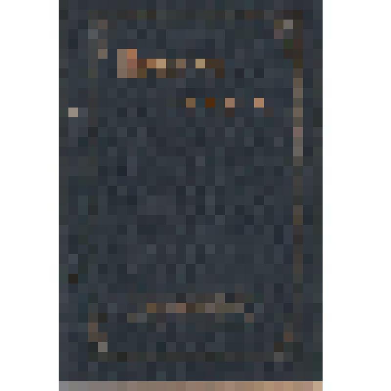 Книга. Воспитание памяти. Наука о наблюдении, памяти и воспоминании