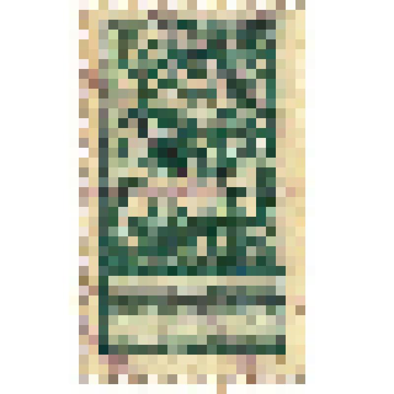 Марки почтовые. Марка почтовая. Гербовая марка. 75 коп.  (зеленый)