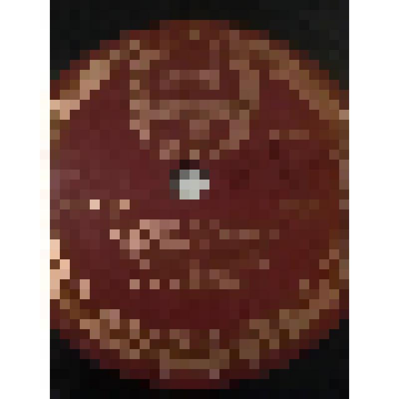 Грампластинка. 1. Монолог Чацкого из комедии А. Грибоедова "Горе от ума". Исполняет А.И. Южин. 2. Отрывок из монолога Марии Стюарт из трагедии Ф. Шиллера "Мария Стюарт". Исполняет М.Н. Ермолова. "Горе от ума"; "Мария Стюарт, королева Шотландии". Москва, Г