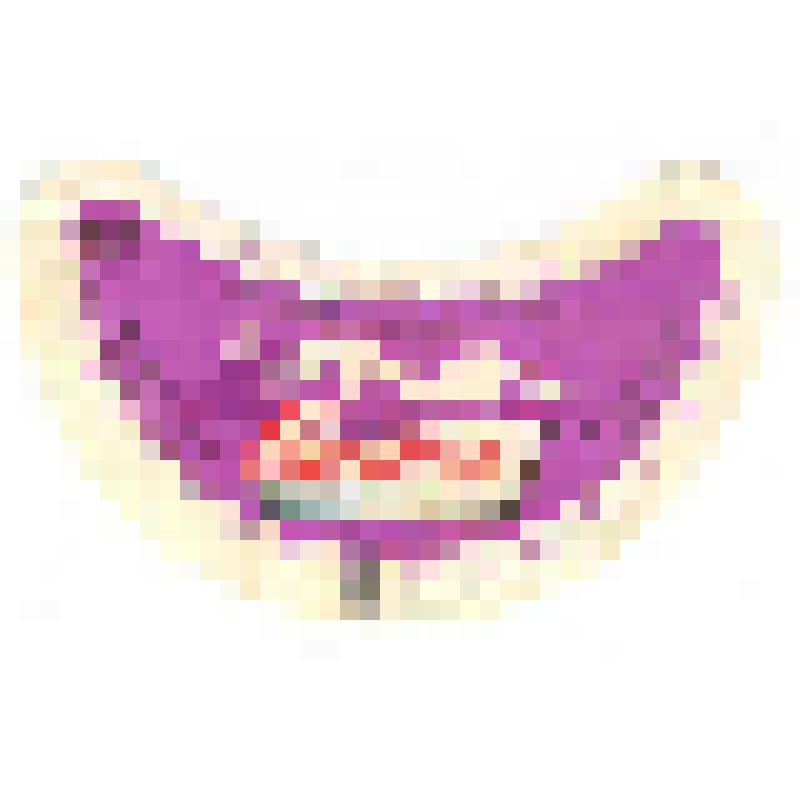 Кольеретка-этикетка горловая к напитку «Саяны» производства Псковского пивоваренного завода, из коллекции кольереток – этикеток горловых к безалкогольным напиткам